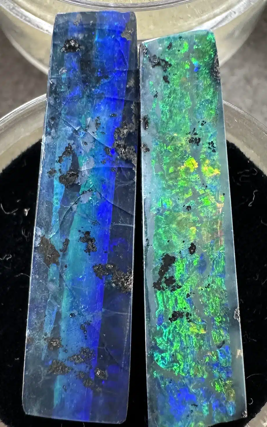 Opals Gem Opals Gem