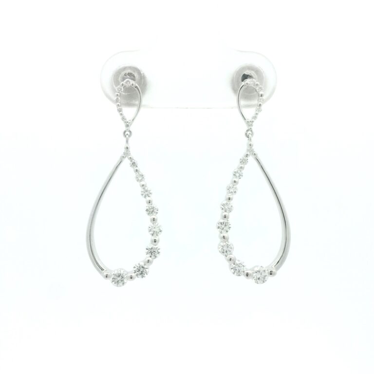 Fancy Earrings
